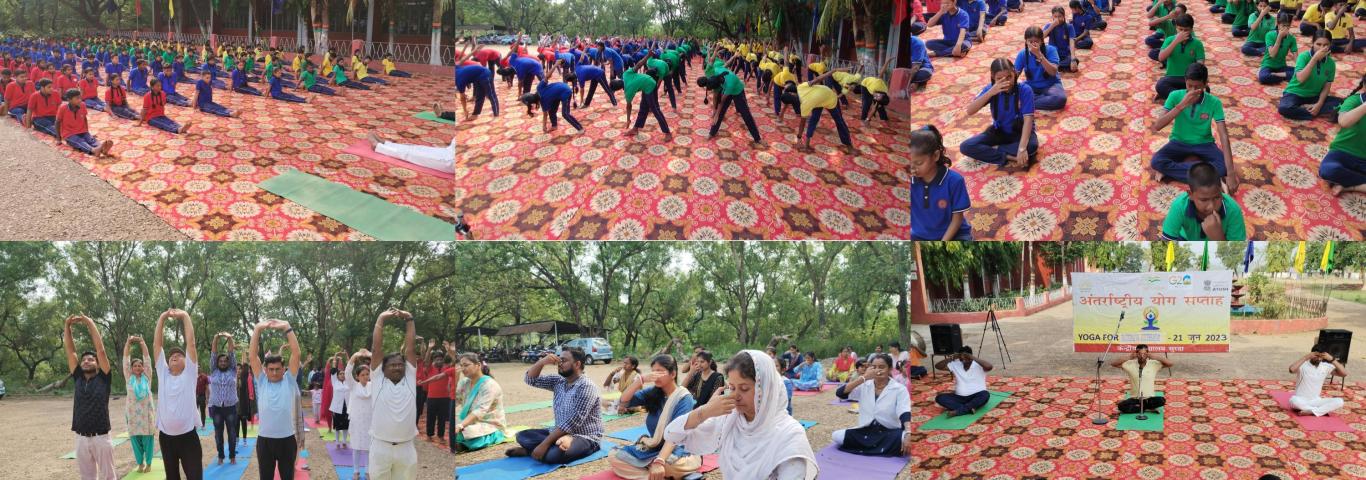 'Yoga for Vasudhaiva Kutumbakam